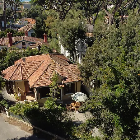 Exclusive Charming - Free Parking 400 Mq Garden - Rome Airport - Roseto Dream